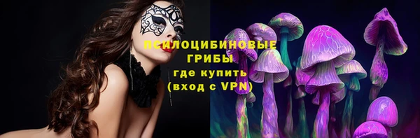 сатива Верхний Тагил