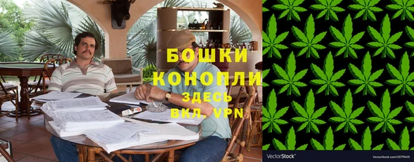 сатива Верхний Тагил