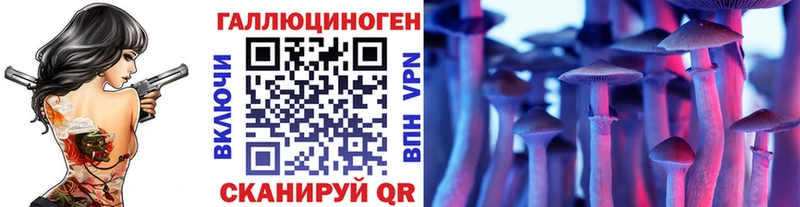 Галлюциногенные грибы Magic Shrooms  darknet как зайти  Новая Усмань  где купить наркоту 